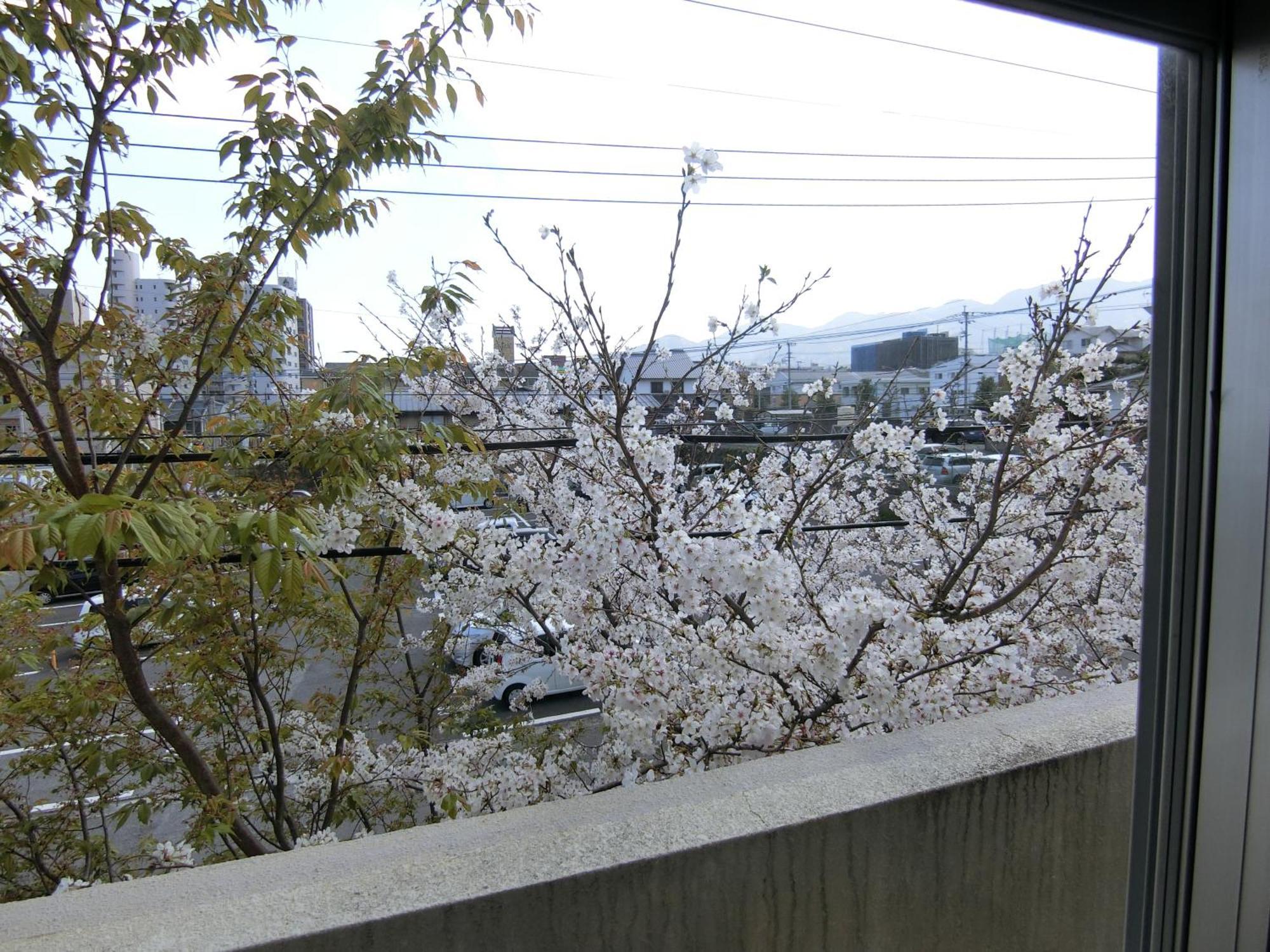 Simple Stay Beppu Δωμάτιο φωτογραφία